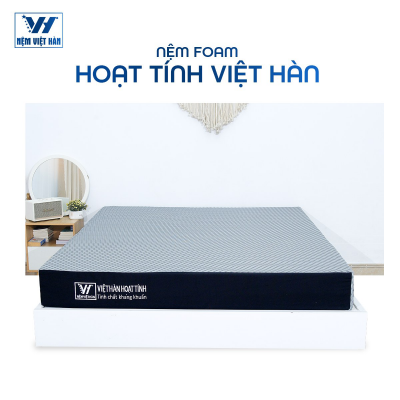 NỆM CAO SU VIỆT HÀN HOẠT TÍNH