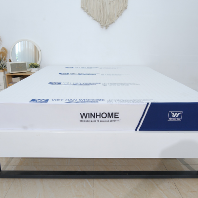 NỆM CAO SU VIỆT HÀN WINHOME