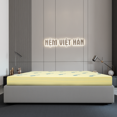 NỆM FOAM VIỆT HÀN CLASSIC