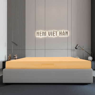 NỆM CAO SU THIÊN NHIÊN VIỆT HÀN LUXURY