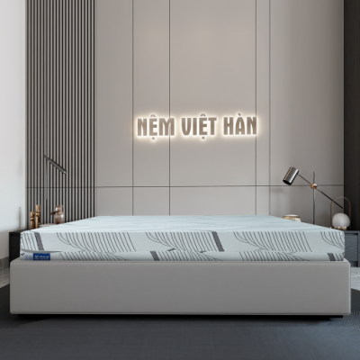 NỆM CAO SU THIÊN NHIÊN VIỆT HÀN DIAMOND