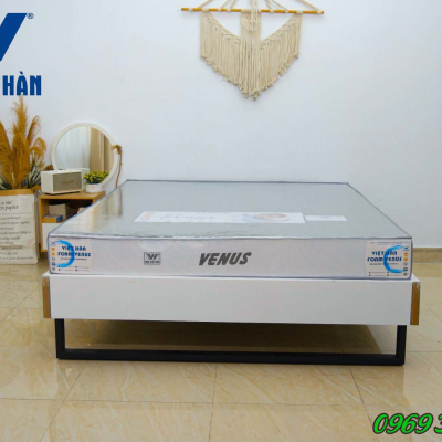 NỆM FOAM HOẠT TÍNH VIỆT HÀN VENUS