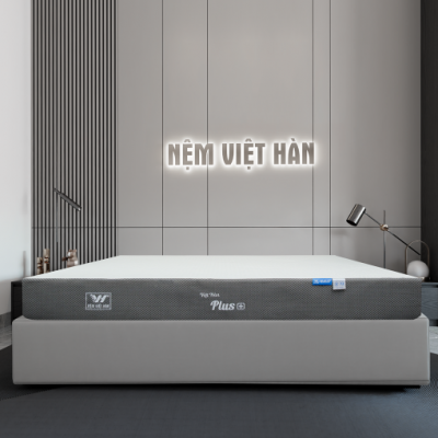 NỆM FOAM VIỆT HÀN PLUS+