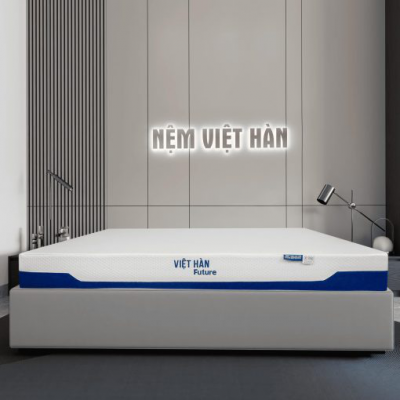 NỆM CAO SU THIÊN NHIÊN ĐA TẦNG VIỆT HÀN FUTURE